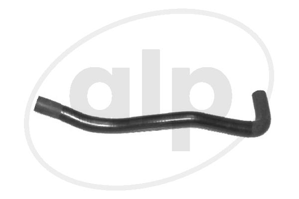 ALP-003876