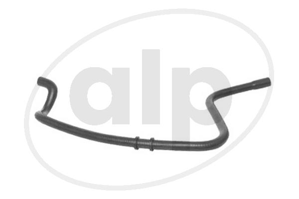ALP-004081