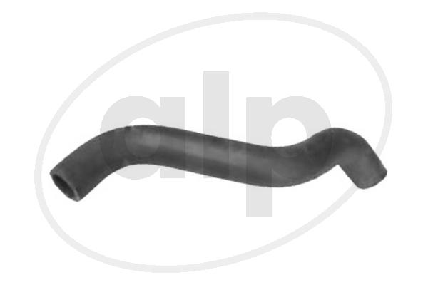ALP-004371