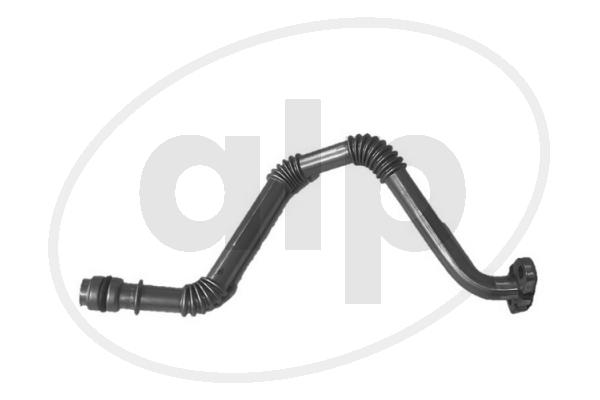 ALP-004807