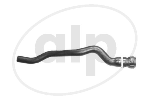 ALP-003926