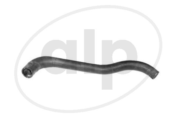 ALP-004258