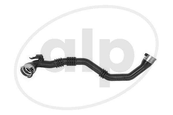 ALP-007878
