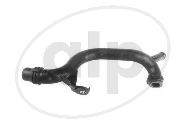 ALP-004955