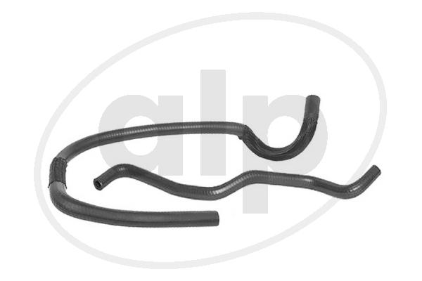 ALP-004317