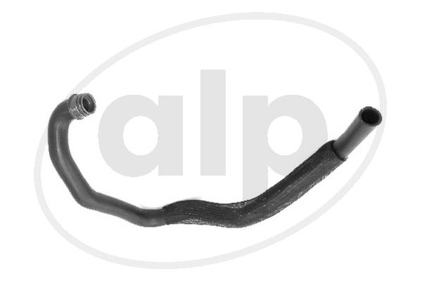 ALP-003855