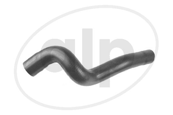 ALP-004295