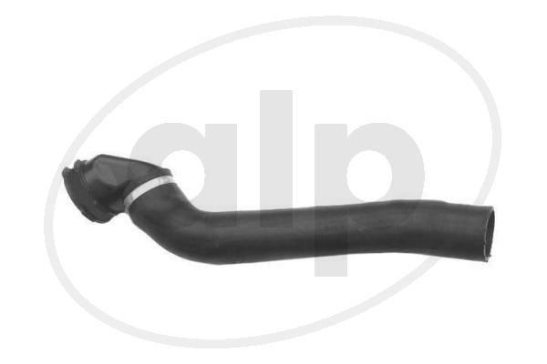 ALP-007584