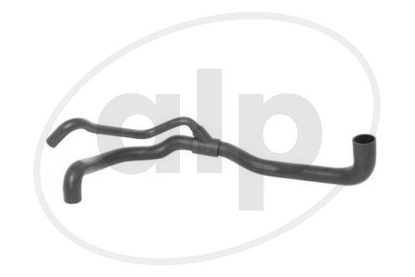ALP-007818