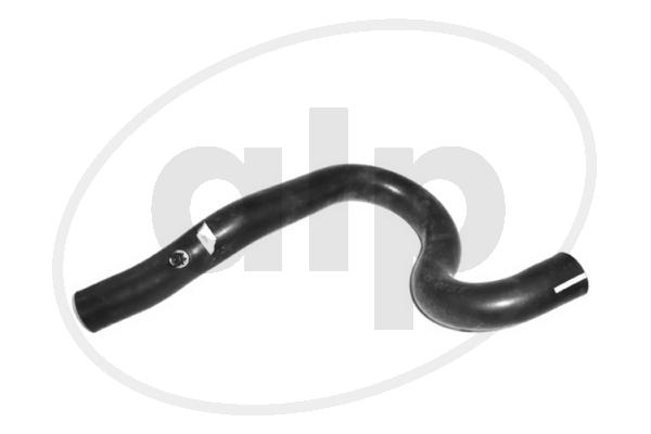 ALP-006656