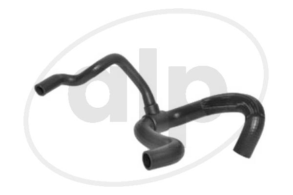 ALP-003731