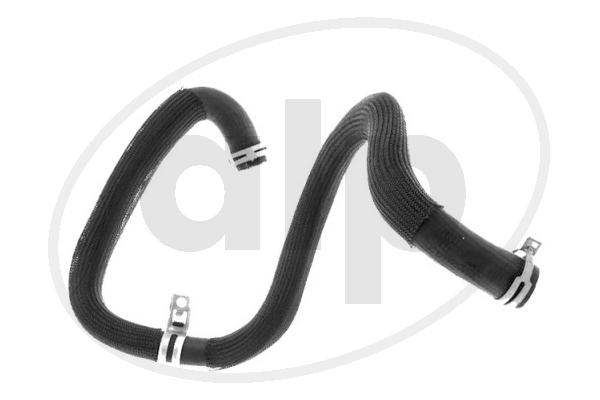 ALP-004276