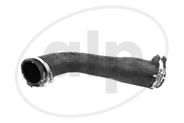 ALP-007710