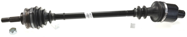 305503