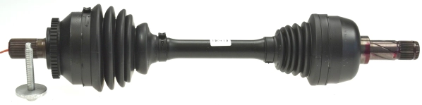 305559