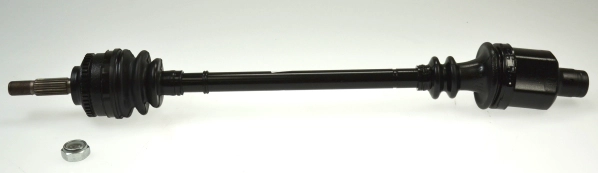 304973