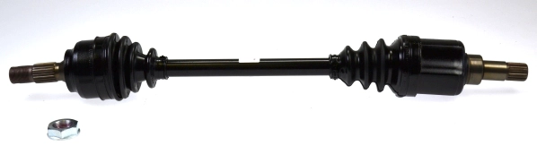 304590