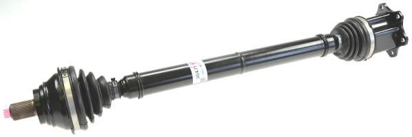 304751