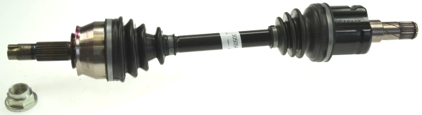 305054