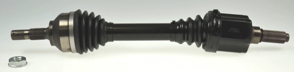 304646
