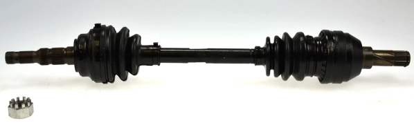 304414