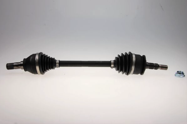 306861