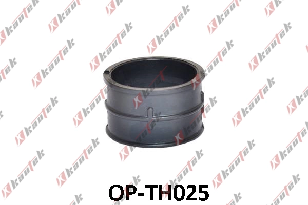 OP-TH025
