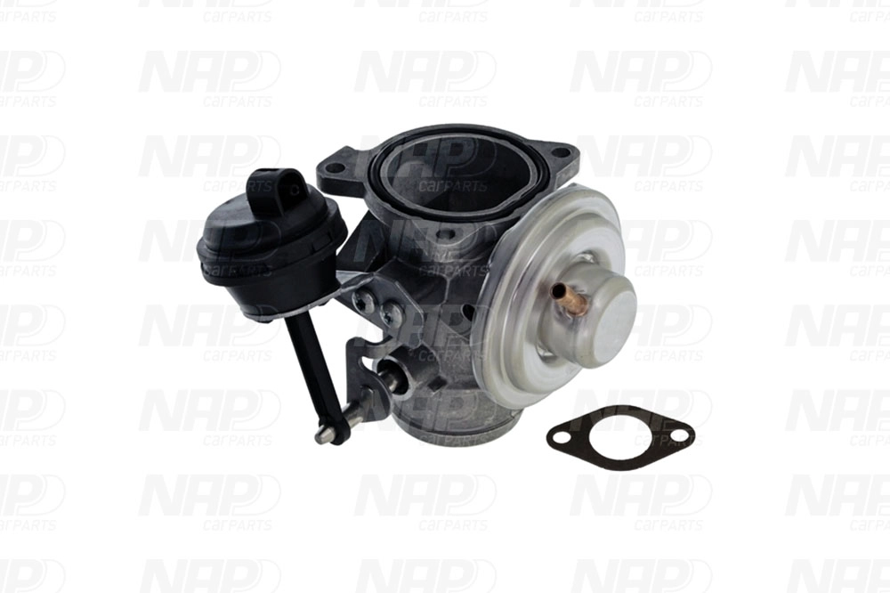 CAV10088