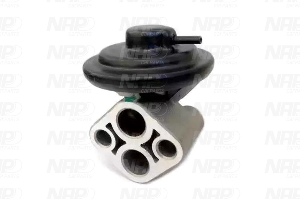 CAV10028
