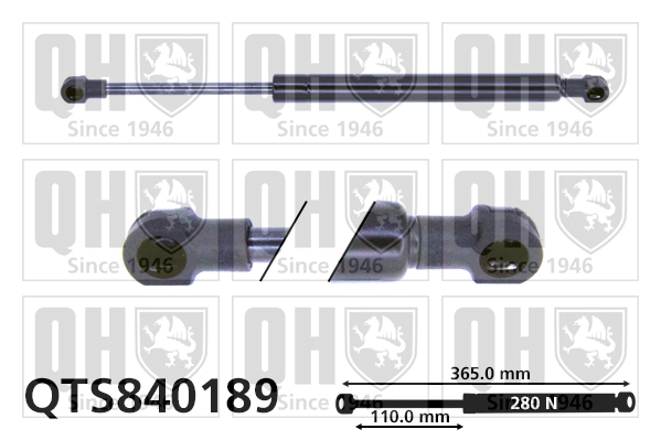 QTS840189
