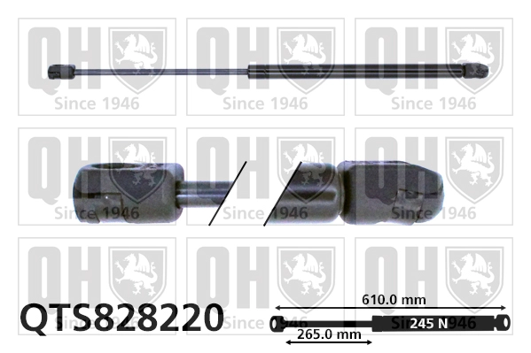 QTS828220