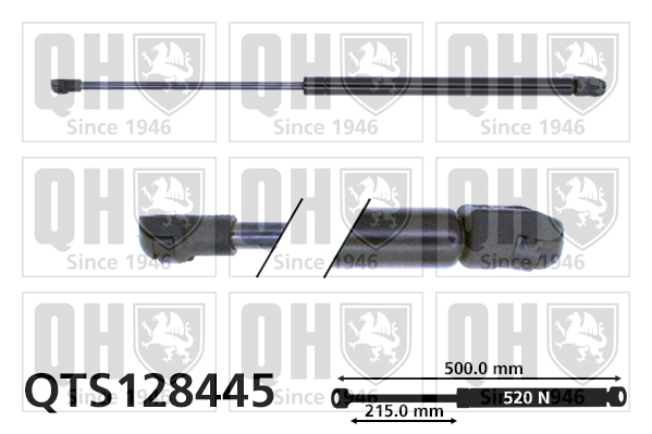 QTS128445