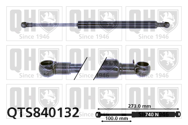 QTS840132