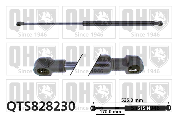 QTS828230