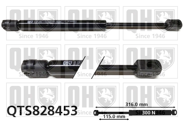 QTS828453