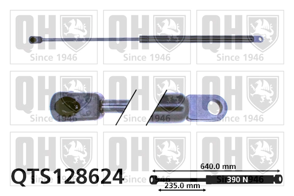 QTS128624