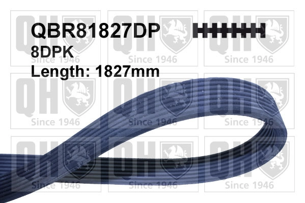 QBR81827DP