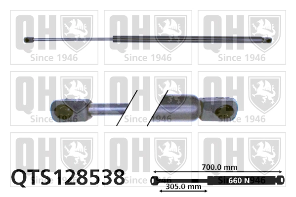 QTS128538