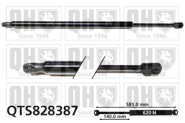 QTS828387