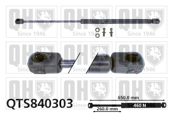QTS840303