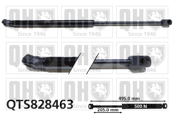 QTS828463