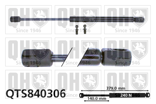 QTS840306