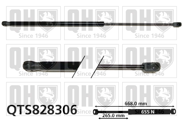 QTS828306