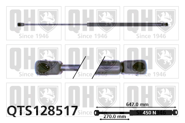 QTS128517