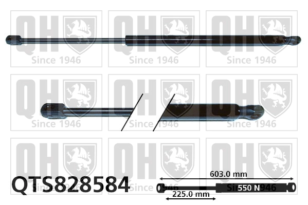 QTS828584