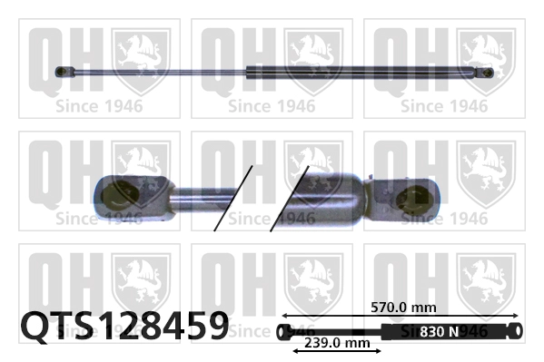QTS128459