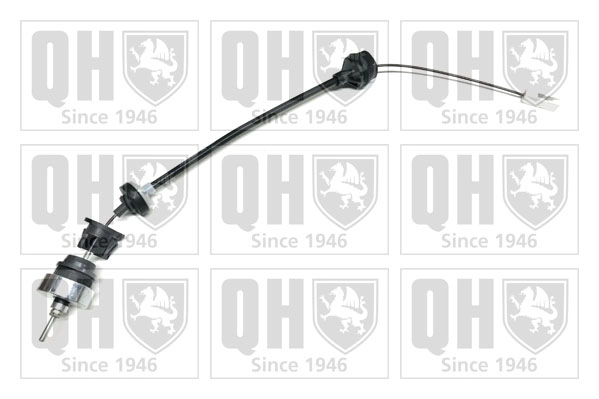 QCC1838