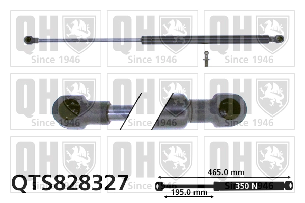 QTS828327