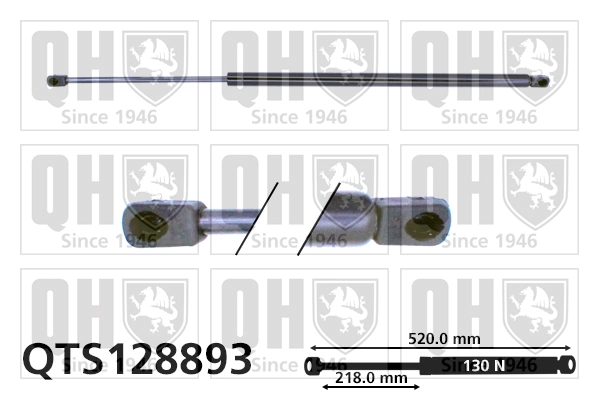 QTS128893
