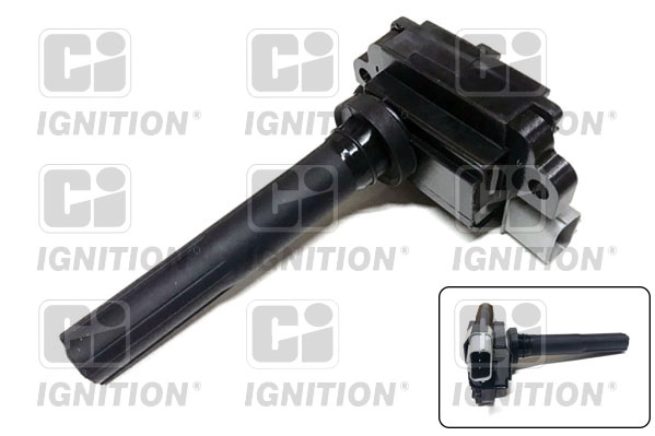 XIC8304